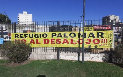 Nueva intimidación de desalojo al refugio de perros El Palomar