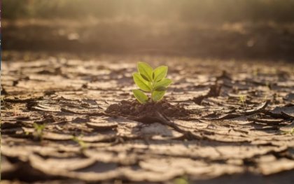 La escasez de agua persevera de forma crítica en México