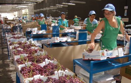 Jornada laboral: la farsa detrás de flexibilización y productividad