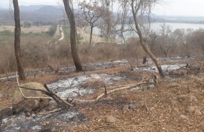 Perilagos de Jujuy: familias campesinas denuncian los desmontes del Gobierno