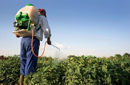 Plaguicidas ilegales en Chile estarían causando deterioro cognitivo en trabajadores, niños y pueblos cercanos