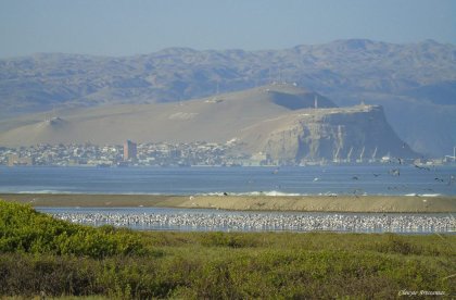 Humedales en pugna: siguen en aumento las reclamaciones en contra de las declaratorias de humedales urbanos en Chile