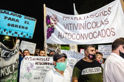 Vitivinícolas: Ya perdimos el miedo, ahora vamos por todo