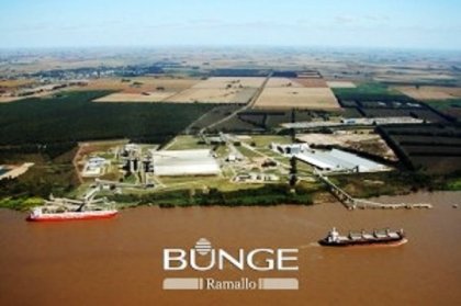 Bunge: 84 despidos, lock out y cierre de su planta