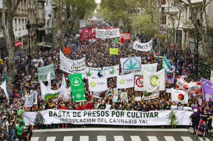 Hoy: Marcha “cultiva tus derechos” por la despenalización y legalización de la marihuana