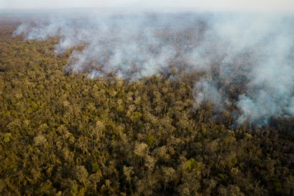 Las Yungas de Jujuy bajo fuego: testimonios en la zona del desastre ecológico 