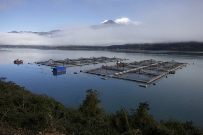 Se prepara un salto en el saqueo de los recursos naturales, se votó el Servicio de Biodiversidad con cláusula extractivista 