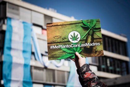 Las Madres que se Plantan podrán seguir cultivando cannabis medicinal