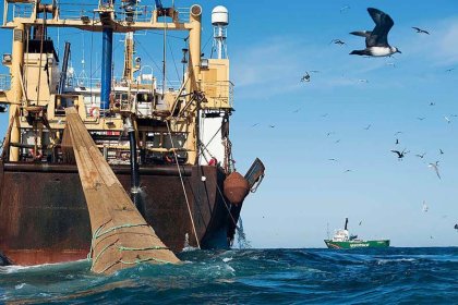 El mar argentino en emergencia: petroleras y pesqueras lo están arrasando