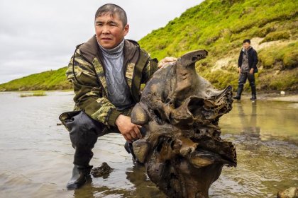 Hallaron esqueleto de mamut casi intacto por la fusión del permafrost de Siberia