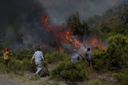 Sigue el incendio en El Bolsón: desinversión, precarización y una catástrofe anunciada