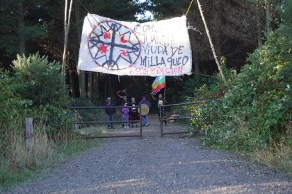 Comunidades mapuche hacen un llamado a la unidad interna para la recuperación de las tierras ancestrales