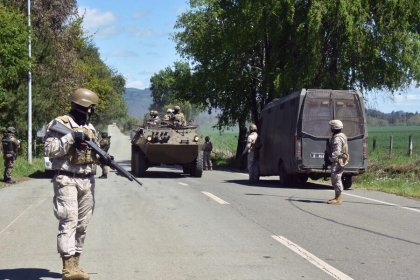 Robo de madera liderado por un empresario forestal y el viral del supuesto grupo paramilitar pro “Patria y Libertad” 