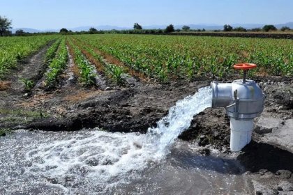 Sectores productivos consumen el 90% del agua en la región del Bío Bío 