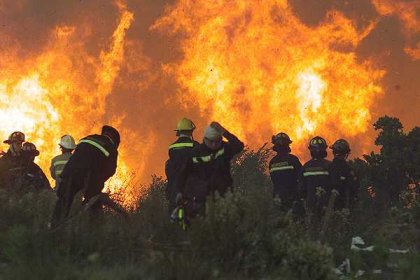 La industria forestal: plantar pobreza, incendios y precariedad