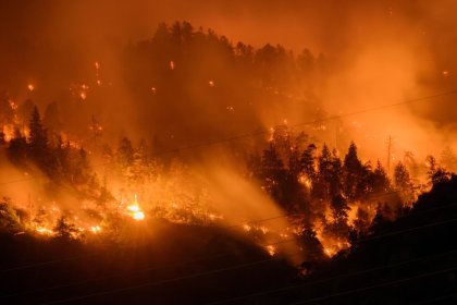 Ola de calor e incendios en todo el hemisferio norte