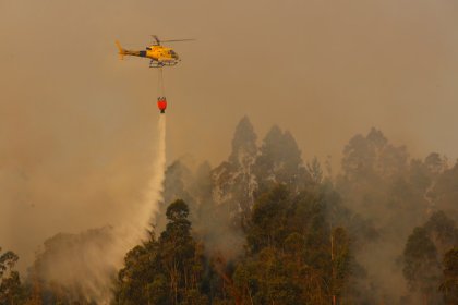 Conaf contrata empresas condenadas por colusión para combatir incendios en la quinta región