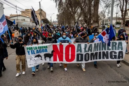 El Tribunal Ambiental en defensa de Dominga ¿Quién debe decidir qué proyecto ambiental se aprueba?