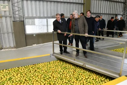 Jaldo busca garantizar el negocio del citrus mientras gestiona una reforma laboral que afecta al trabajo rural 