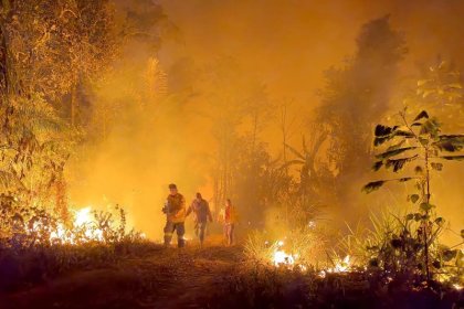 Gobierno, ganaderos y agroindustriales: vanguardia del capitalismo pirómano