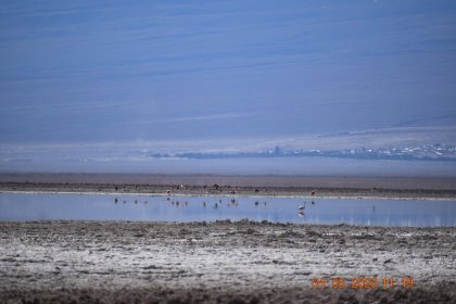 Comunidades indígenas interponen denuncia por hundimiento de salar de Atacama debido a extracción de litio en Chile