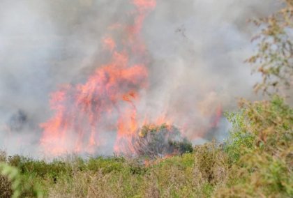 Incendio en Tandil: los bomberos advierten que el fuego “no está controlado” 