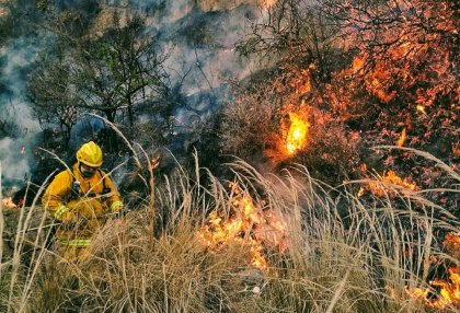 Incendios forestales: "Todos terminamos pagando la avaricia de algún empresario ruralista"