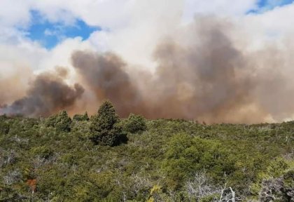 Chubut sigue ardiendo: 80.000 hectáreas perdidas en 2022