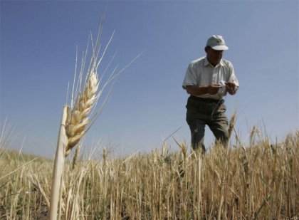 “Lock out” agrario contra el Gobierno