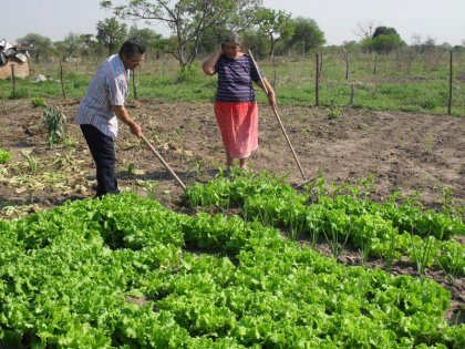 Qué hay tras la nueva ley de Agricultura Familiar