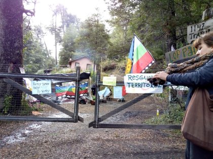 Villa La Angostura: denuncian desforestación en territorio mapuche por fideicomiso de Manu Ginóbili 