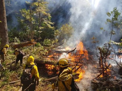 El 4 de mayo brigadistas de incendios marchamos 