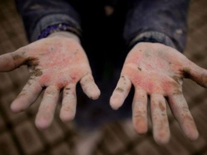 “Recuerdo que los primeros días de clase no iba a la escuela porque íbamos a cosechar en las viñas”