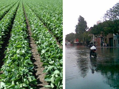 Aumentar la tasa de los grandes propietarios del campo y la ciudad para hacer obras hídricas e hidráulicas.