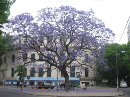 Facultad de Bellas Artes: Comentario inoportuno en el momento justo