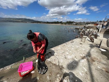 Pescadoras artesanales emplazan a la Subsecretaría de Pesca: “Dicen que están trabajando para nosotras pero sin nosotras”