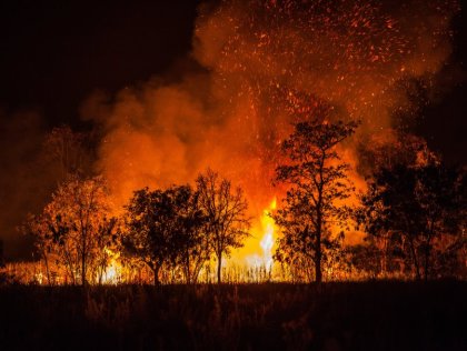 ¿Por qué no hay prevención en incendios forestales y rurales en contexto de extractivismo y negocio forestal?