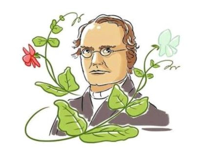  Mendel: el padre de la genética moderna 