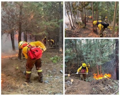 Brigadista de forestal Arauco: "Somos despedidos al finalizar la "temporada de incendio" después de no pago de horas extras y precarización laboral" 