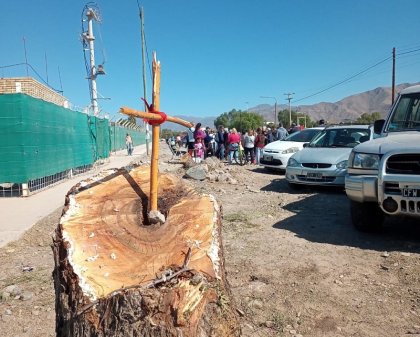 Denuncian la tala indiscriminada de árboles para la construcción de un templo religioso en Las Heras