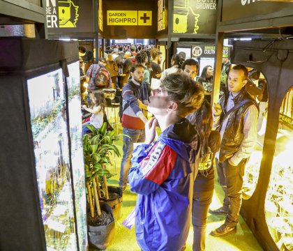 Segunda edición de Expo Cannabis: talleres, conferencias e industria.