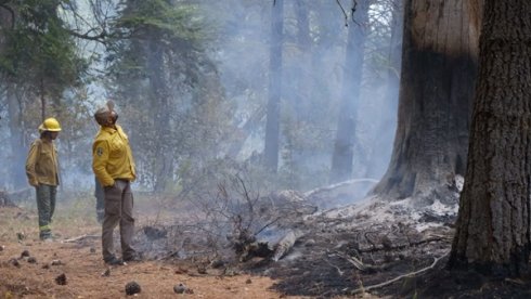 Foto: Ministerio de Ambiente y Desarrollo Sostenible