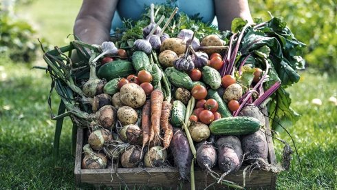 Frutas y verduras, un lujo. 