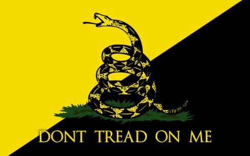 La bandera de Gadsden, cuya simbología liberal influyó en la portada del Black Album.