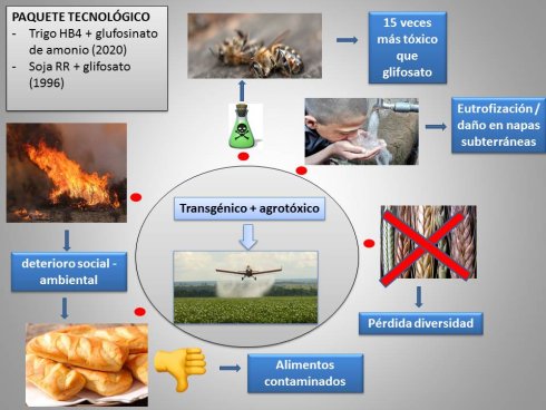 El ciclo del glufosinato de amonio