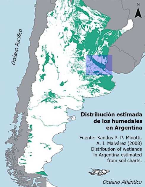 Fig. 3: Humedales (en verde) de la Provincia de Buenos Aires. Fuente: Kandus P., P. Minotti y A. I. Malvárez (2008). El recuadro azul indica el área de humedales que forma parte de la cuenca del río Luján.