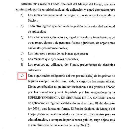 El presupuesto 2021 crea, por primera vez desde que fue establecido por la ley 26.815 en 2012, el Fondo Nacional del Manejo del Fuego.