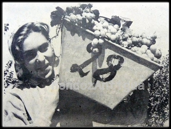 Cosechadora, marzo de 1970. Foto: Mendoza Antigua