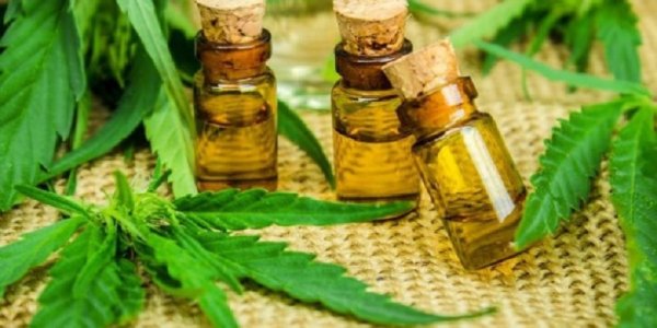 Cannabis medicinal: “El Estado debe reconocer esta necesidad de salud pública”