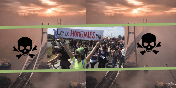 El negocio de quemar y la pelea por la Ley de Humedales